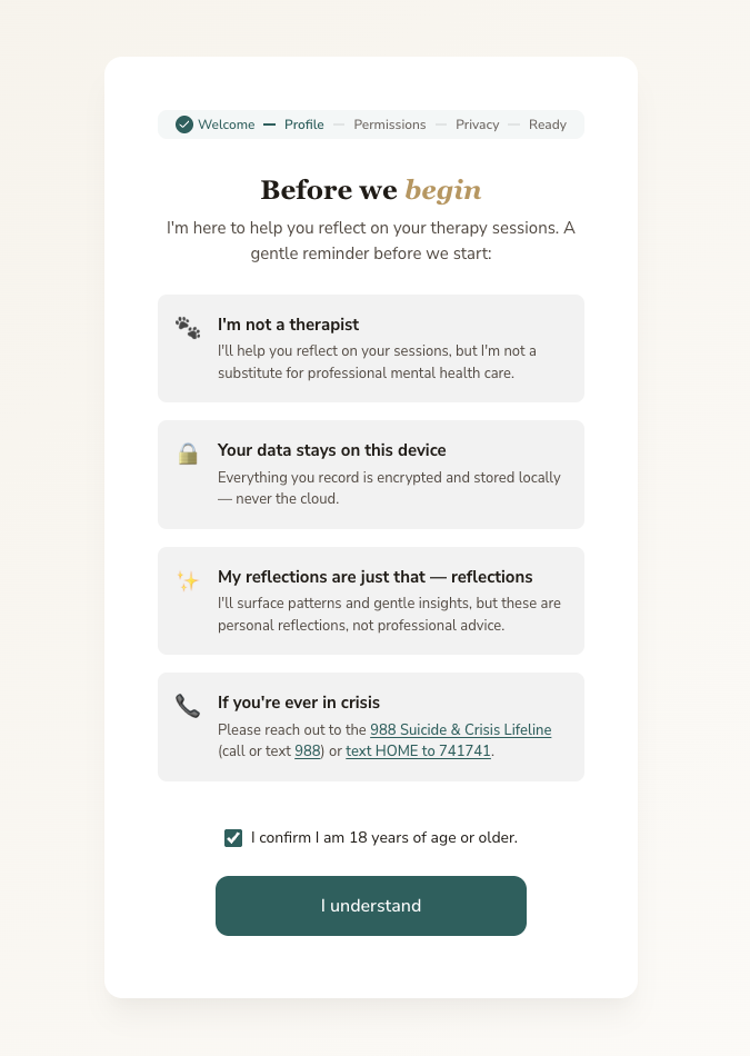Lucca’s “Before we begin” screen — a reminder that it is not a therapist, that your data stays on your device, and crisis resources if you need them